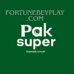 paksuper-game